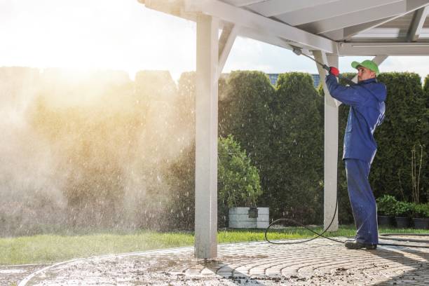Best Soft Washing  in Clifton Springs, NY