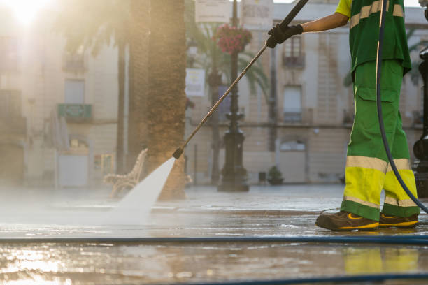 Best Dumpster Area Cleaning  in Clifton Springs, NY